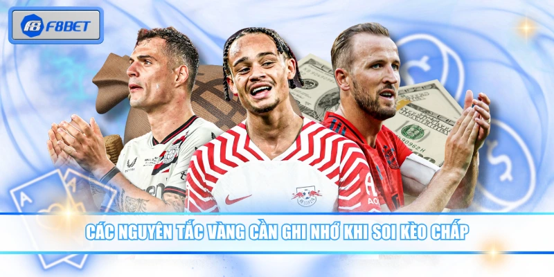 Hướng Dẫn Soi Kèo Châu Á Giúp Bạn Đánh Nhanh Thắng Nhanh 4 Các nguyên tắc vàng cần ghi nhớ khi soi kèo chấp